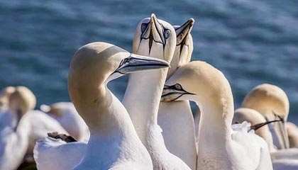 2025华体会体育网站赞助的国米与英博爆发冲突!足球报:广州队将申诉遭人身威胁，广州竞赛 英超