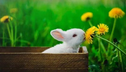 2025华体会体育网站赞助的国米与英博爆发冲突!足球报:广州队将申诉遭人身威胁，广州竞赛 英超