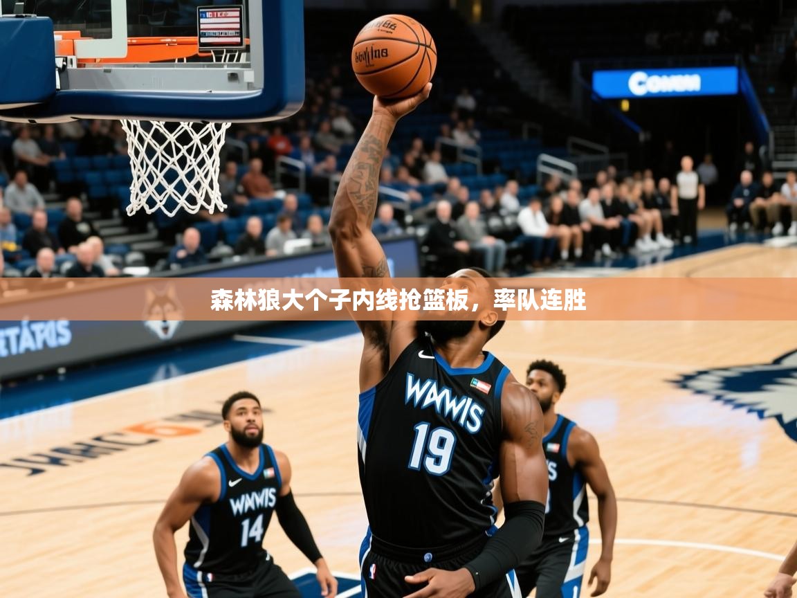 2025华体会体育网站国米赞助商森林狼大个子内线抢篮板，率队连胜